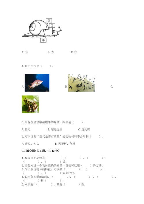 教科版小学科学一年级下册期末测试卷及参考答案（基础题）.docx