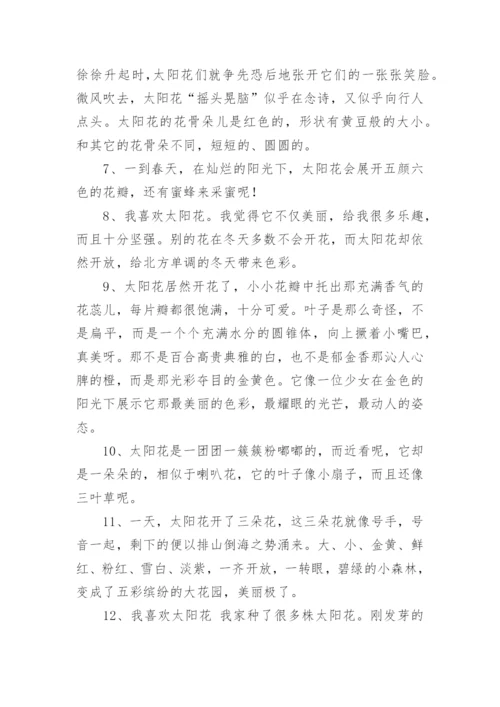 向日葵唯美语录.docx
