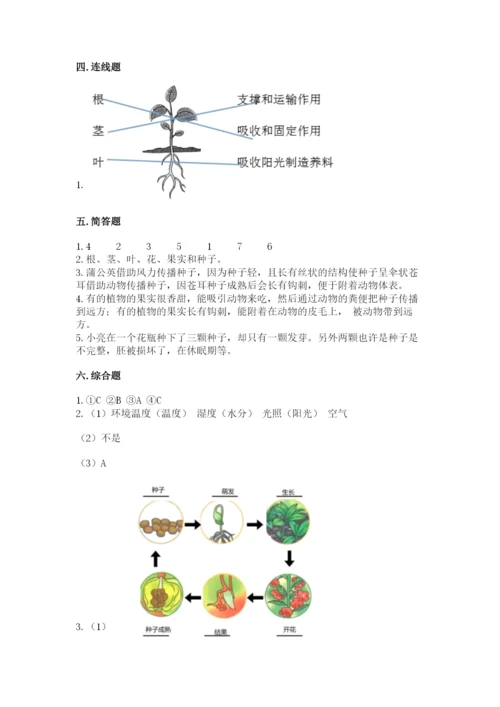 科学四年级下册第一单元《植物的生长变化》测试卷精品（考点梳理）.docx