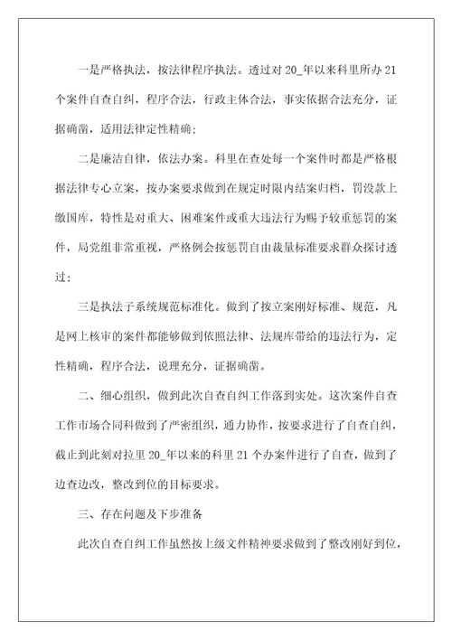 自查自纠年度工作个人总结范文5篇