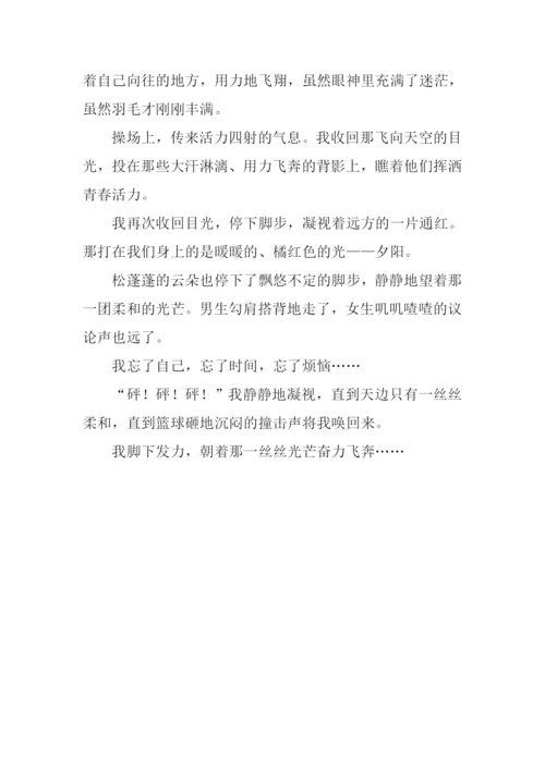 夕阳下的奔跑作文.docx
