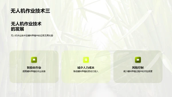 糖料种植的科技革命