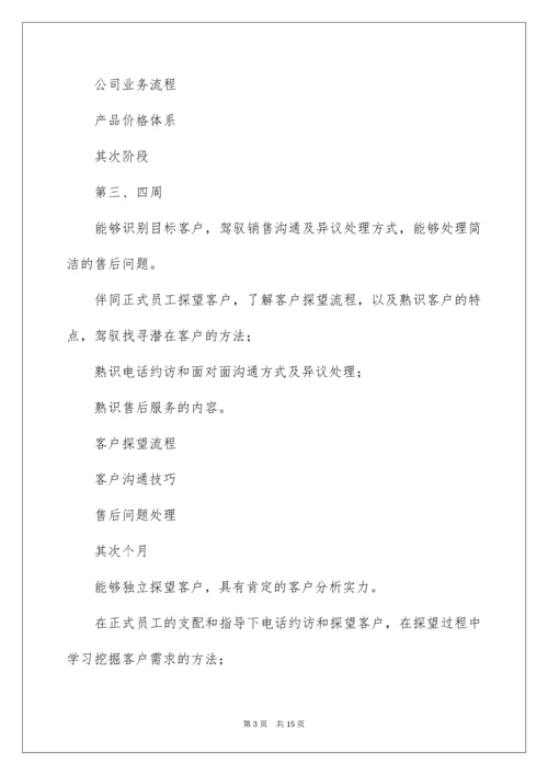 销售试用期工作计划.docx