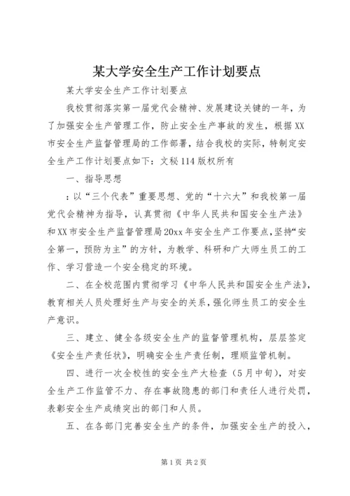 某大学安全生产工作计划要点 (3).docx