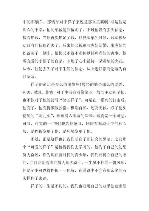2024年写有关《骆驼祥子》名著的初一读后感