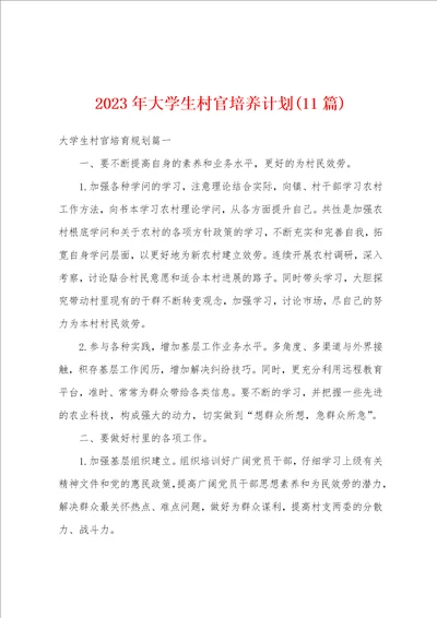 2023年大学生村官培养计划11篇