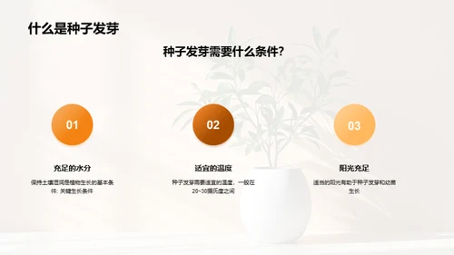 揭秘植物生长奇观