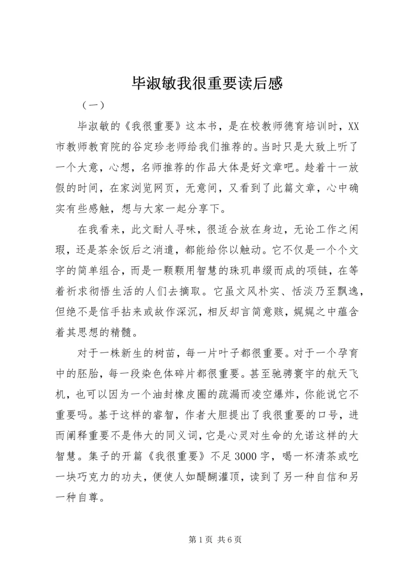 毕淑敏我很重要读后感.docx