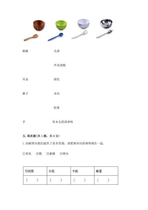 教科版科学二年级上册《期末测试卷》标准卷.docx