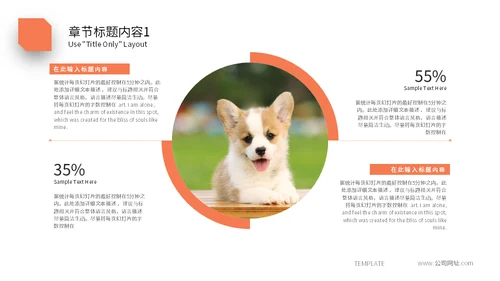 宠物乐园萌宠小狗主题通用PPT模板
