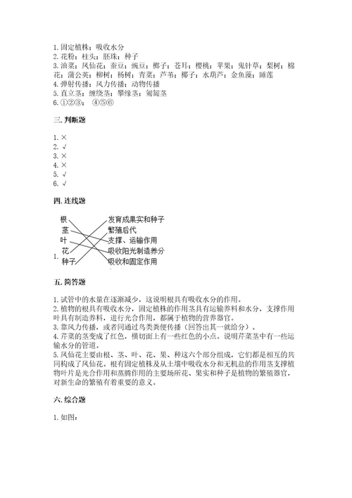 教科版四年级下册科学第一单元《植物的生长变化》测试卷含答案（a卷）