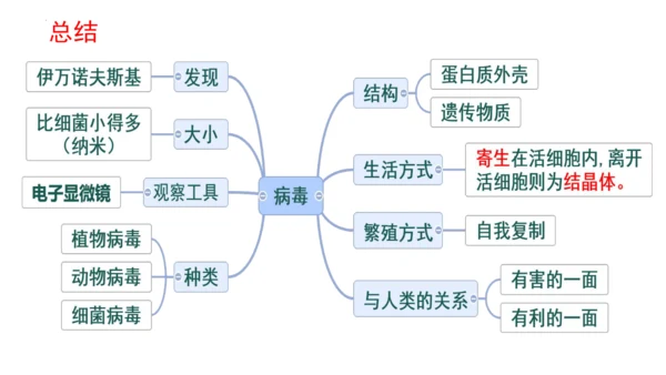 人教版生物八年级上册5.5《病毒》（课件）(共30张PPT)+视频素材