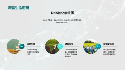 DNA提取全解析