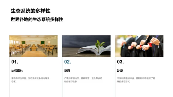 地理探秘与全球观