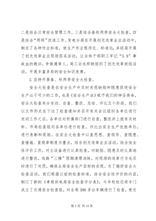 电力局安全保卫工作总结及计划 (2).docx