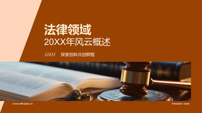 法律领域20XX年风云概述