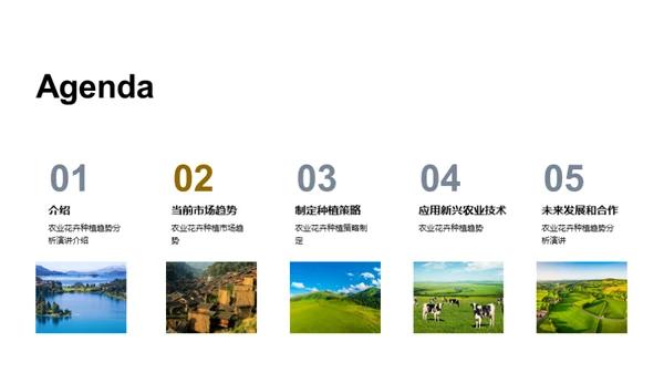 花卉产业：创新与策略