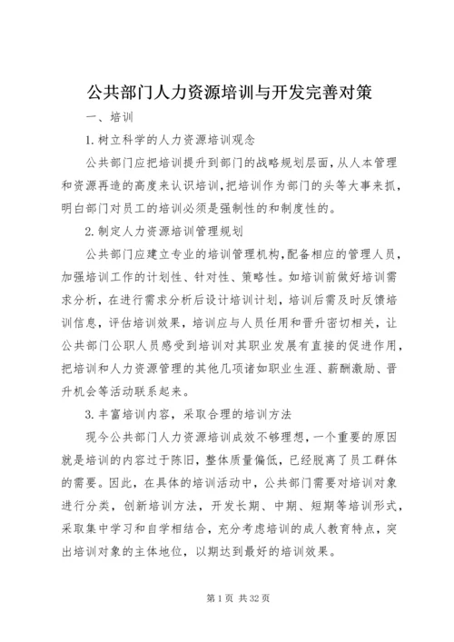 公共部门人力资源培训与开发完善对策.docx