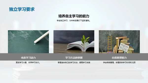 四年级学习之旅