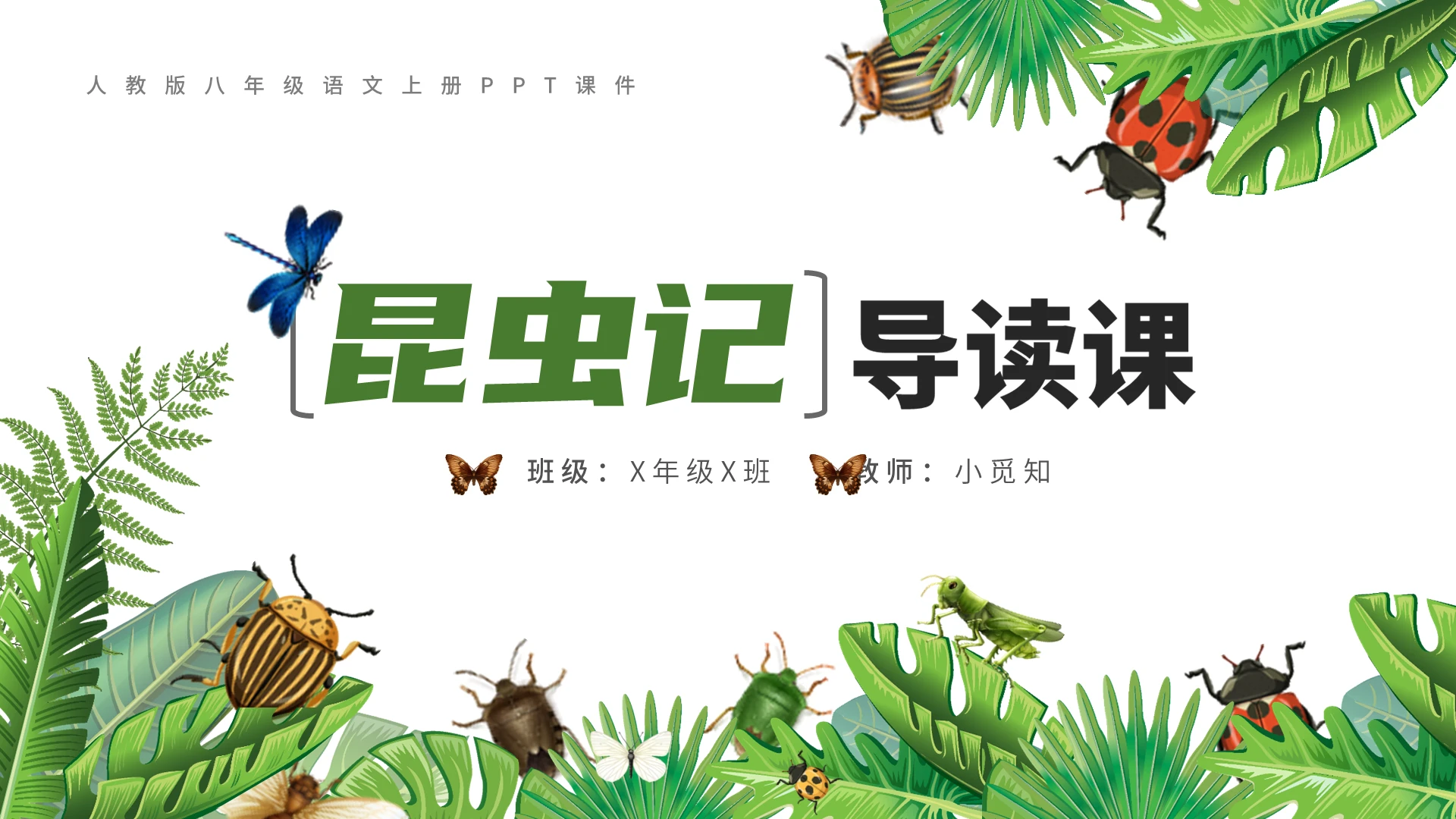 昆虫绿色小清新ppt课件八年级语文上册课件