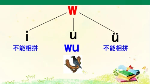 2.i u ü  第2课时   课件