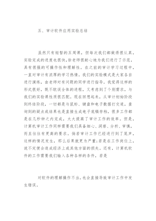 实验的审计报告.docx