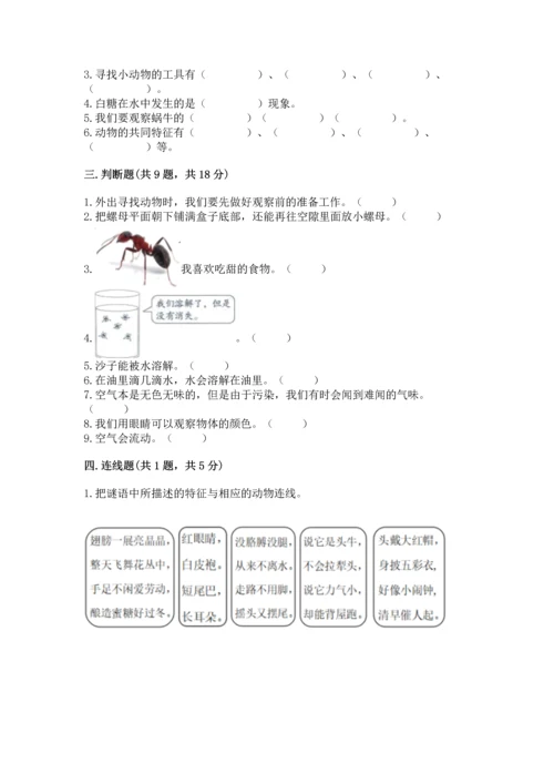 教科版一年级下册科学期末测试卷含答案【精练】.docx