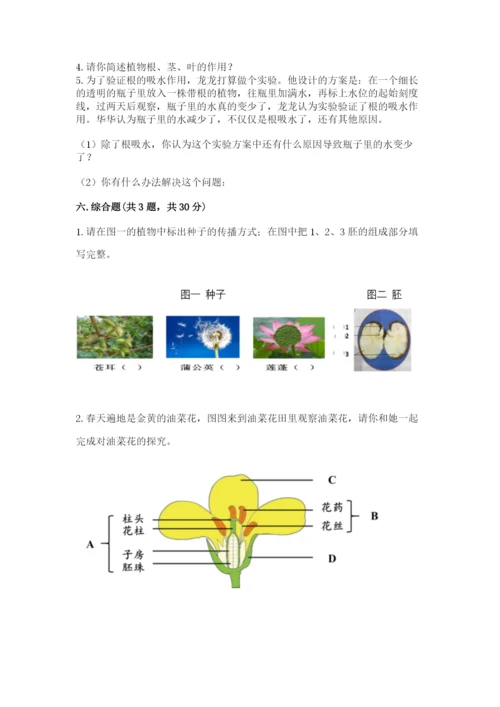 科学四年级下册第一单元《植物的生长变化》测试卷【精品】.docx