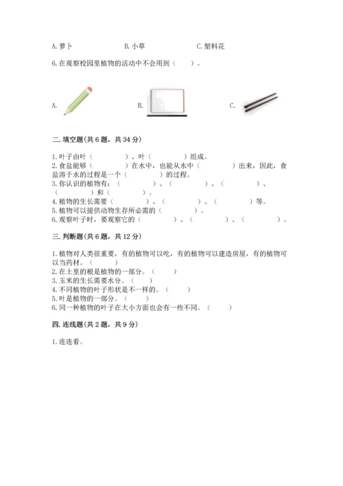 教科版科学一年级上册第一单元《植物》测试卷及完整答案【考点梳理】.docx