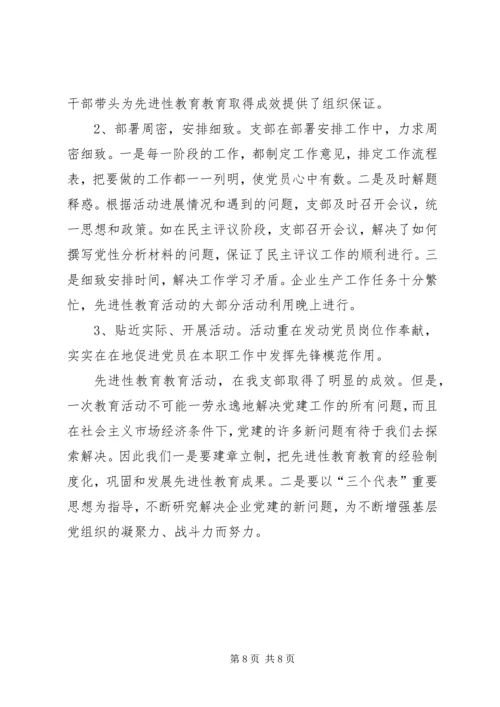 党支部全面总结.docx