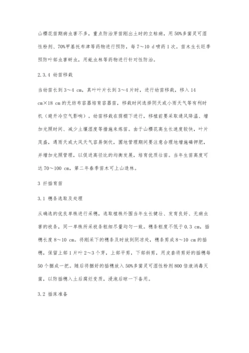 乡土山樱花育苗技术试验研究.docx