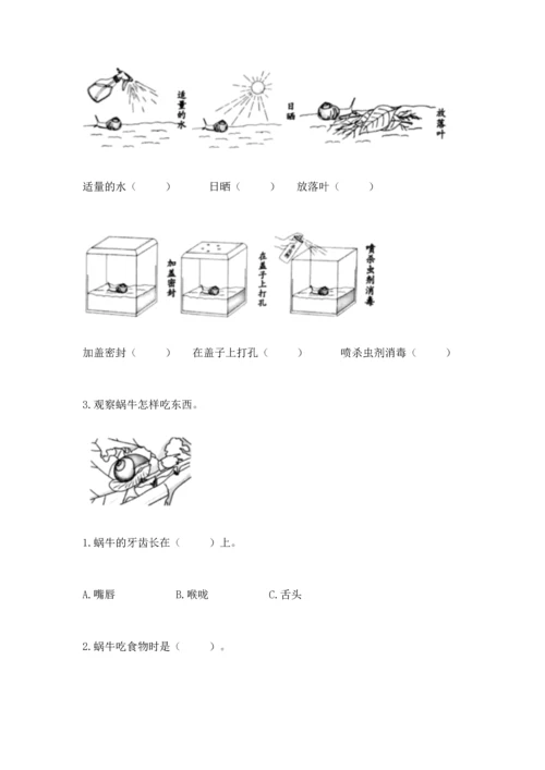 教科版一年级下册科学期末测试卷精品【名师推荐】.docx