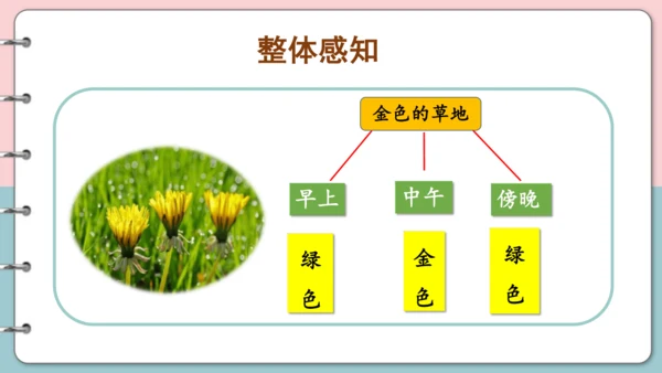 第16课《金色的草地》（第一课时）课件