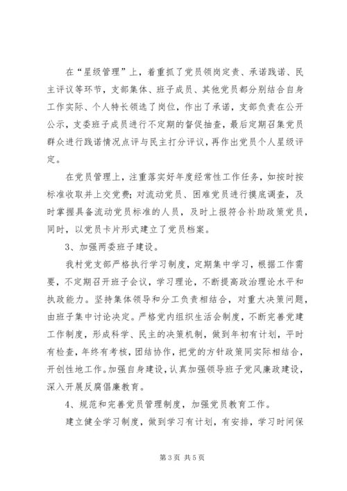 村党支部XX年党建工作情况汇报.docx