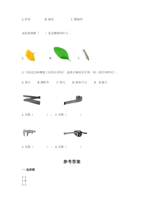 教科版一年级上册科学期末测试卷【黄金题型】.docx