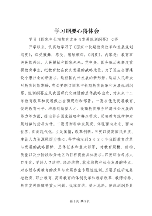 学习纲要心得体会 (2).docx