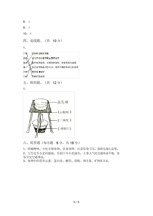 大象版四年级科学上册期末测试卷(可打印)