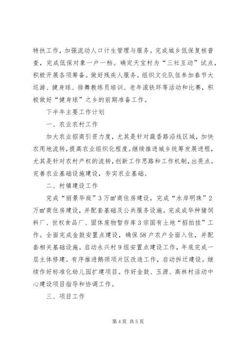 乡镇政府上半年工作总结和下半年工作计划.docx