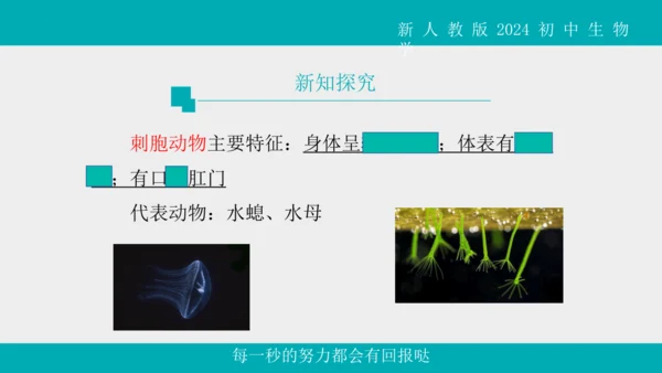 人教版生物七年级上册2.2.1《无脊椎动物》教学课件(共40张PPT)+视频素材
