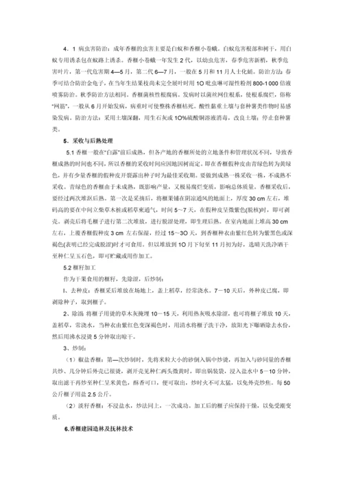 苗木香榧种植项目建议书.docx