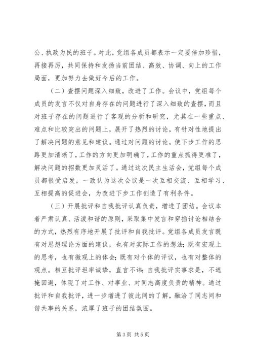 某某某某人民政府党组民主生活会情况的报告 (4).docx