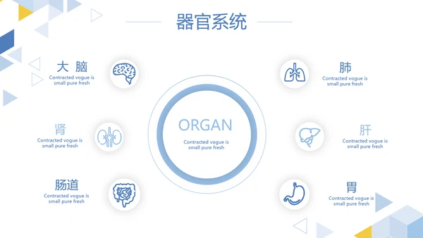 卡通简约医疗医学工作汇报动态PPT模板