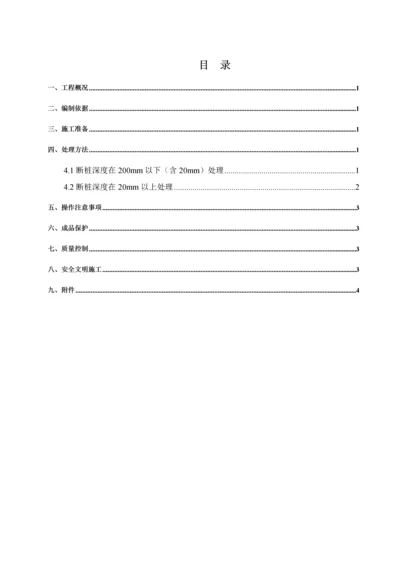 CFG补桩专项方案.docx