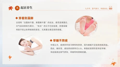 白色淡雅实拍风中国传统节气寒露节气介绍PPT