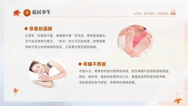 白色淡雅实拍风中国传统节气寒露节气介绍PPT