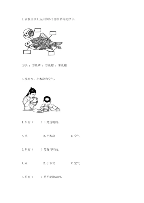 教科版一年级下册科学期末测试卷【基础题】.docx