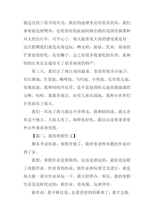 我的寒假作文600字.docx