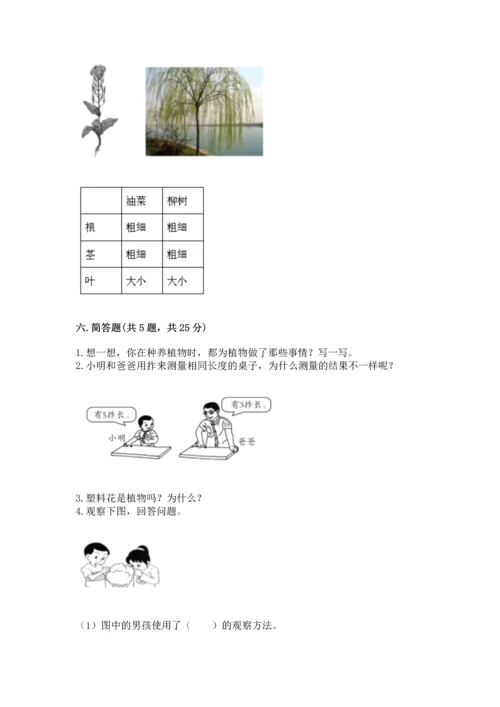 教科版小学一年级上册科学期末测试卷a4版.docx