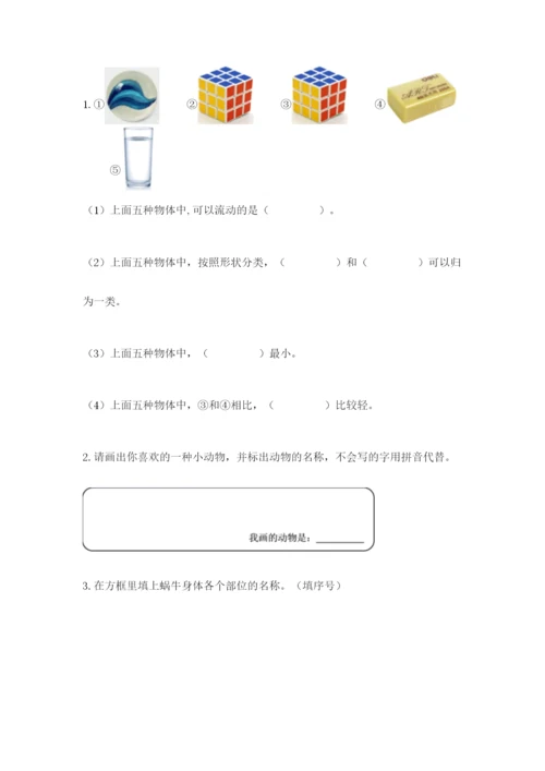 教科版一年级下册科学期末测试卷（考点梳理）.docx