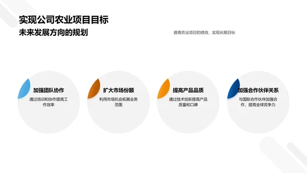 农业项目进展与展望